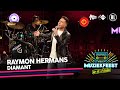 Raymon Hermans - Diamant • Muziekfeest op de Radio // Sterren NL