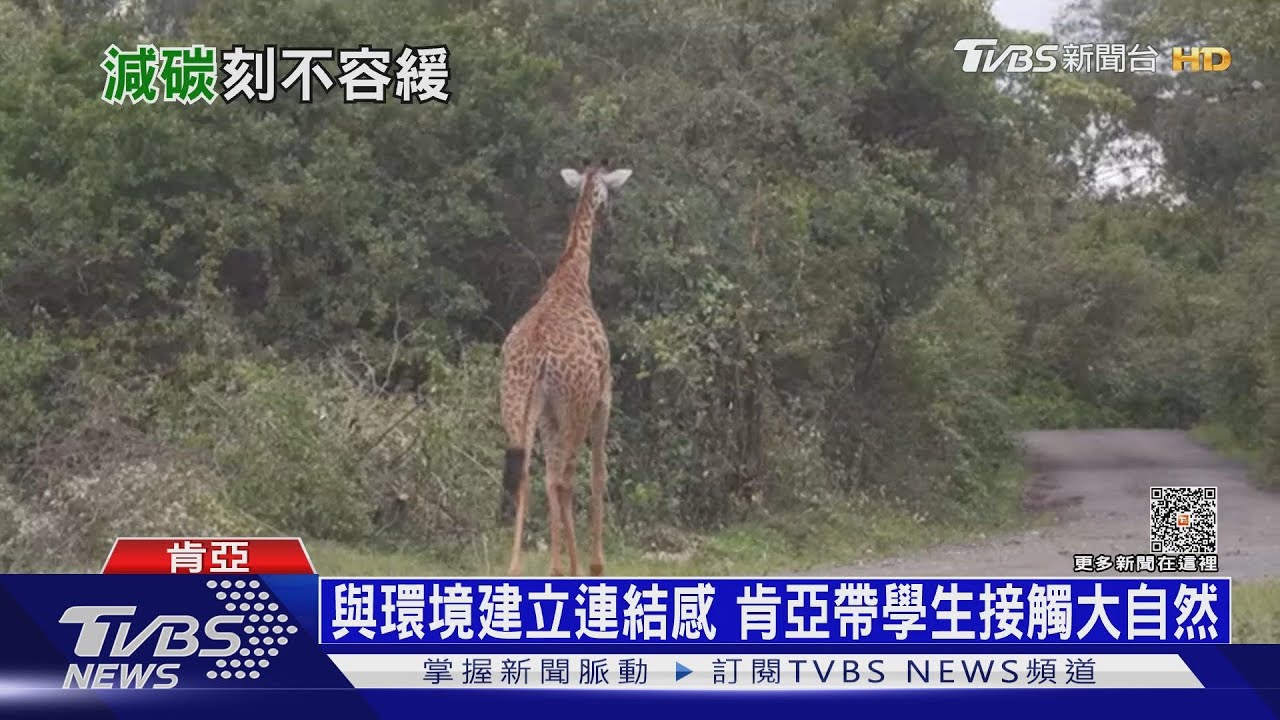 南非動保團忙 憂誤闖人類區遭不測