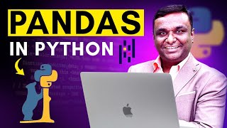 Pandas in Python | Python Hub