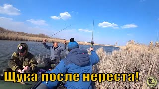 Ссылка