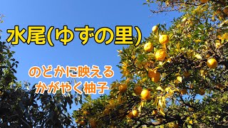 水尾 ゆずの里(京都)