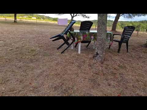 Mes vacances vacances à Ribérac où ont très bien arrivés samedi.