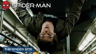 The Spider Bite | The Amazing Spider-Man | With Captions