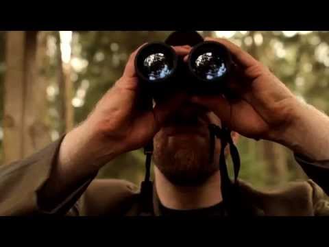 Sebó - Ich will nichts zurück (Official  Video)