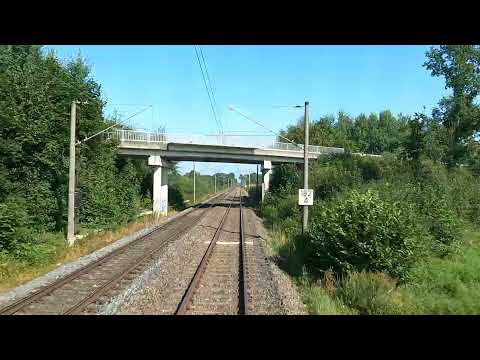 4K Führerstandsmitfahrt BR 264 Maxima Münster - Rheine ( Cabview )