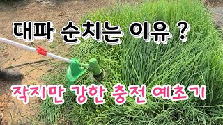 대파 순치기 너무 매워 딸이랑 눈물 펑펑 ㅋ