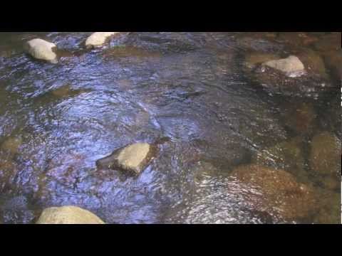 MAQFLAH - "Livity freestyle"