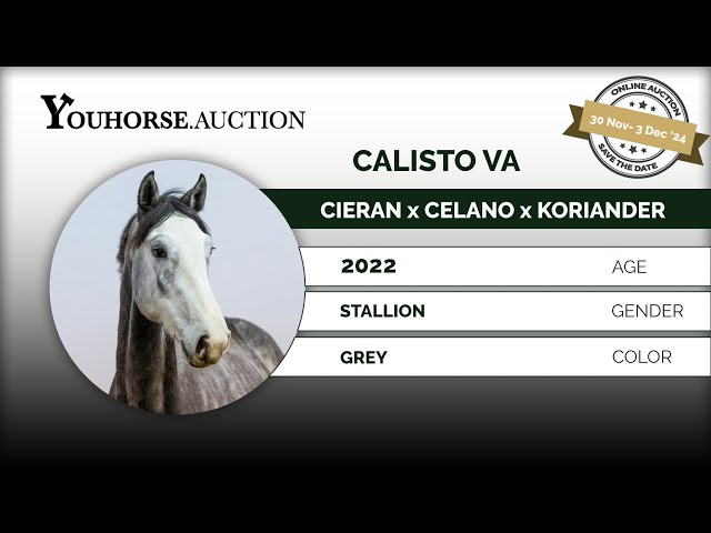 Calisto