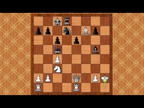 Odlična procena pozicije koja je vodila u pobedu - NICHOLSON vs NOORDHOEK # 1172