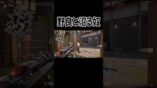 野良と一緒に沼るやつ【VALORANT】