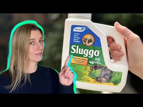 Win the Slug War with Eco-Friendly and Organic Sluggo!