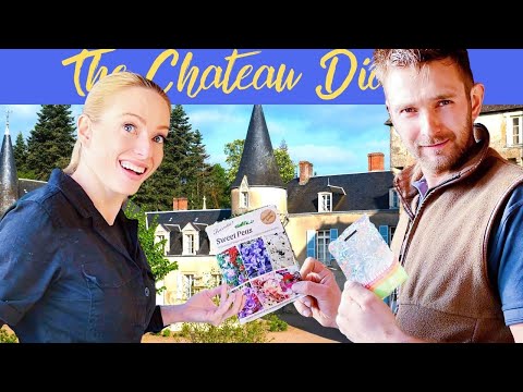 HOW WE GET THE GREENHOUSE READY FOR SPRING!