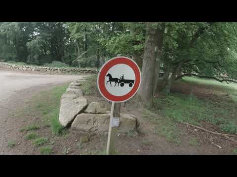 Heidschnuckenweg Etappe 4