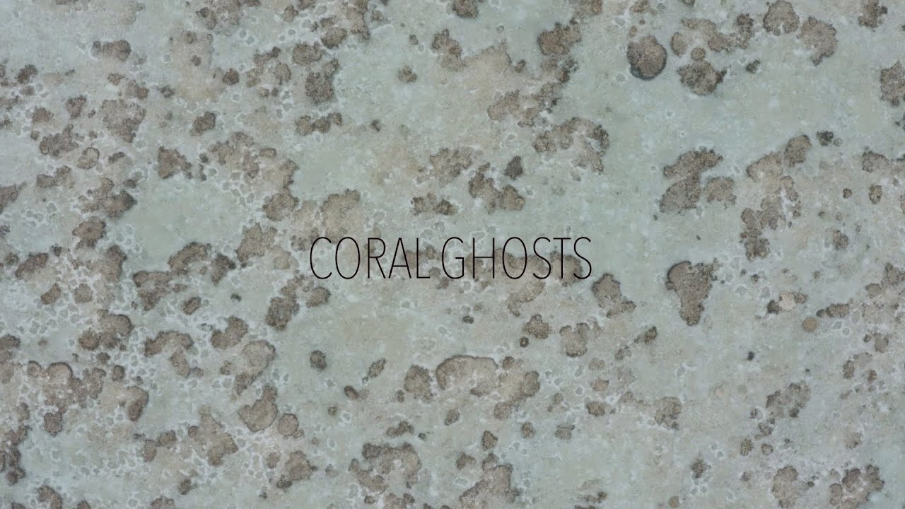 Coral Ghosts 2020