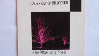 Charlie's Brother - The Wishing Tree