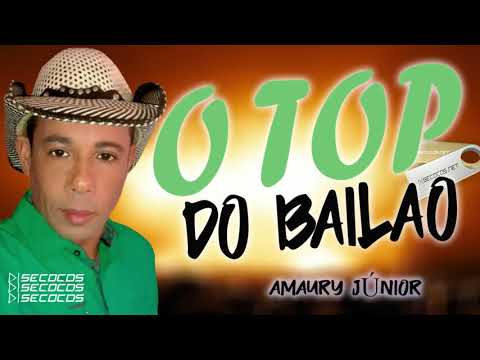 AMAURY JUNIOR - TOP DO BAILÃO SO PRA DANÇAR