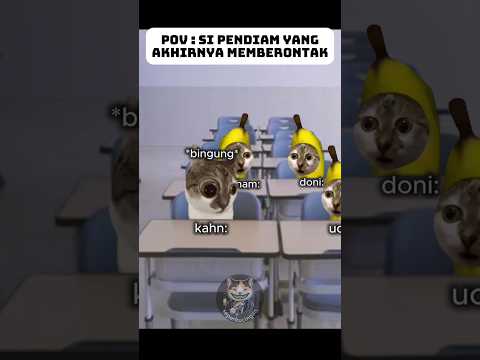 ketika pendiam sudah muak #meme #kucingmeme #kucing #lucu #kucinglucu #fypシ