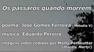 Os pássaros quando morrem (José Gomes Ferreira - Eduardo Pereira) [canção original]