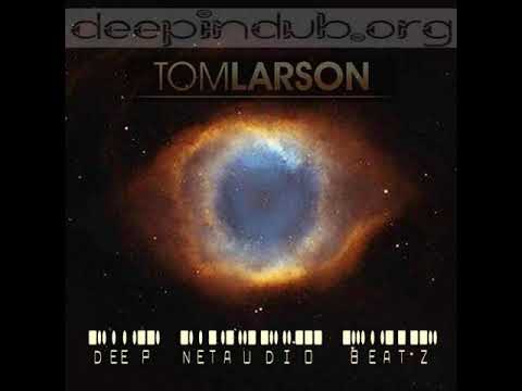 Tom Larson - Deep Netaudio Beatz [Deep In Dub]
