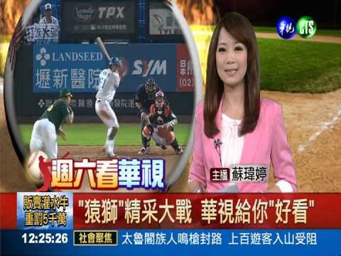 "猿獅"精采大戰 華視給你"好看"