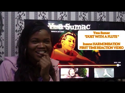 YMA.SUMAC-INSANEHARMONISATION (IN A DUET WITH A FLUTE)FIRST TIME REACTION ❣❣