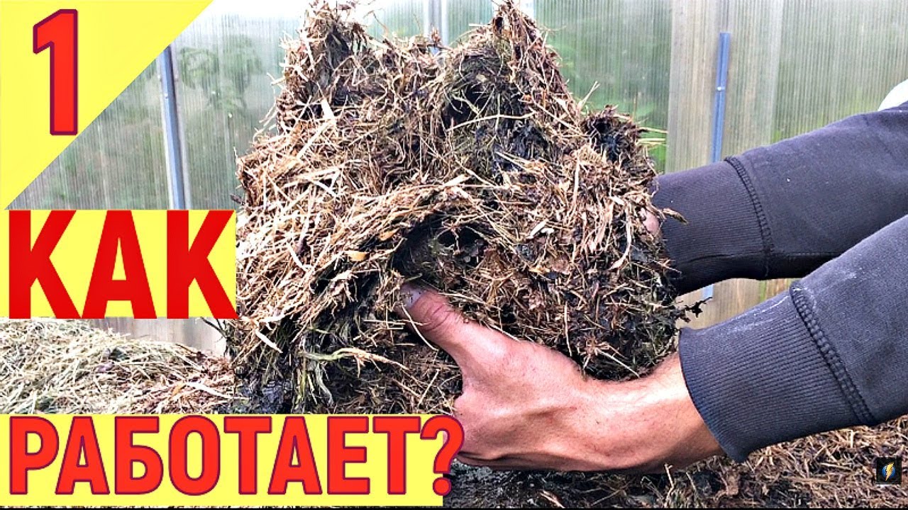 В огороде про сморчкова. В огороде про сморчкова. В огороде про сморчкова. Дачница с огурцами. В огороде про сморчкова.