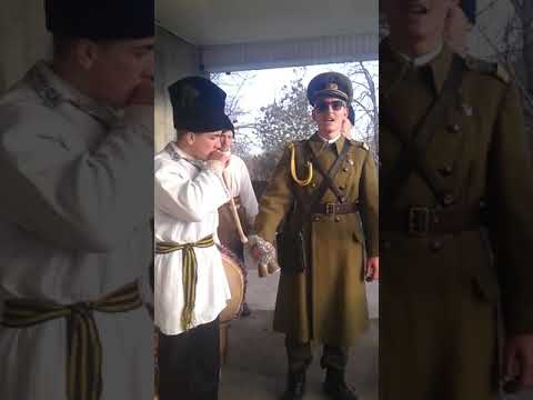 plugul de la buhalnita