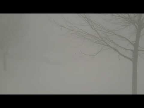 Heart of the storm. Buffalo Blizzard. 70mph winds. 12/23/22.