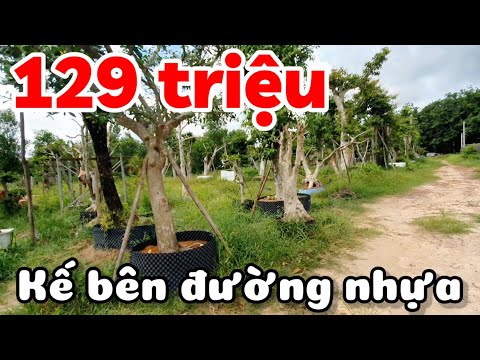 Bán 8 lô đất có thổ cư giá từ 129 triệu kế bên đường lộ giới ở Hòa Hội Tây Ninh bao sổ hồng riêng