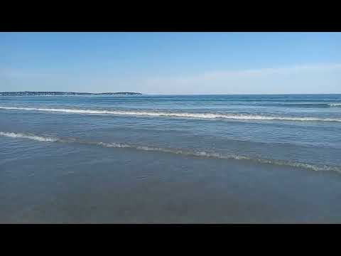 Having fun in Nahant Beach 07-02-2024