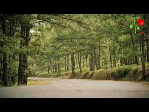 Hai lẻ một - Châu Hoàng Nhung