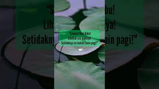 Download lagu Caption Status WA Hari Rabu #shorts #storywa mp3