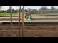 Hippity Hop Race County Fair 2016