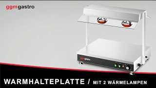 Plaque chauffante en inox - 1 kW - avec 2 lampes chauffantes infrarouges