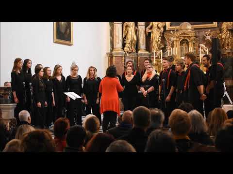 Das VOK - Trog mi Wind