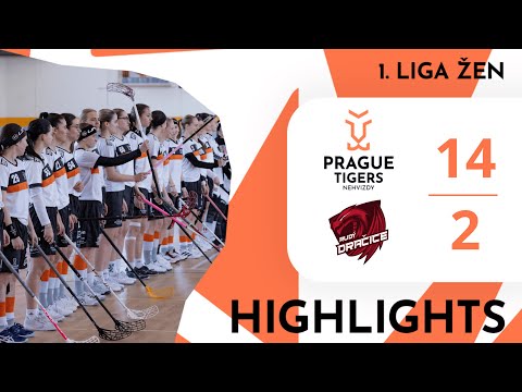 📺HIGHLIGHTS | Prague Tigers Nehvizdy - Rudý Dračice MLADÝCH NADĚJÍ Týn