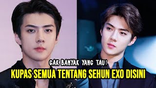 Download lagu 17 Surprising Facts About EXO's Sehun That Shocked the World mp3