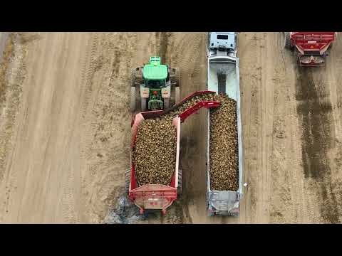 2024 Sugar Beet Harvest | Great Rift Transportation