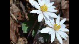 "Cliche to Say" (Edited Version) Original Song- Cherell