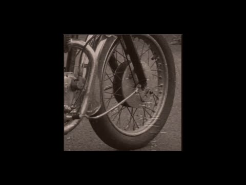 Into The Valley of Death - Leeches