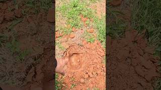 O Que Achei Nessa Fazenda Me Deixou Muito Curioso 🧐 SEGUE QUE VOLTAREI NESTE LOCAL!