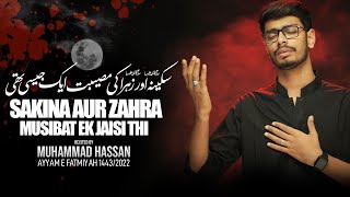 Sakina Aur Zahra Ki Musibat Ek Jaisi Thi  Hasan Al