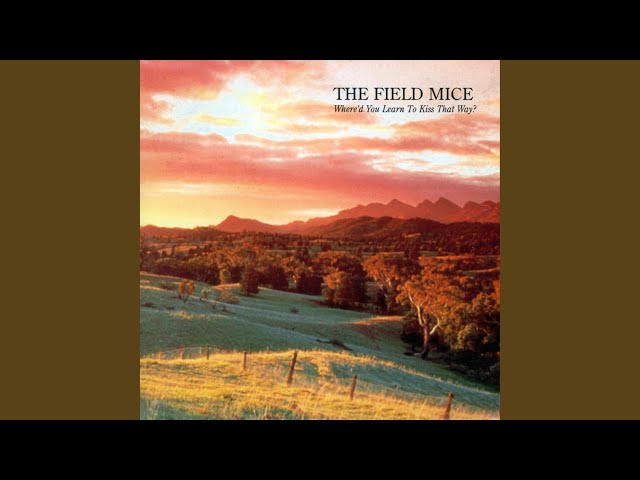 Scopriamo insieme The Field Mice: Storia e Stile Musicale