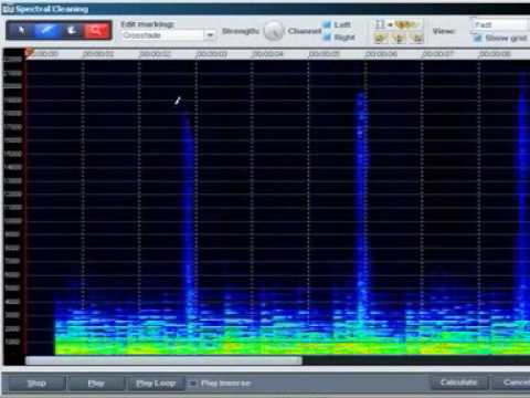 MAGIX Audio Cleaning Lab 15 deluxe - Spectral Cleaning