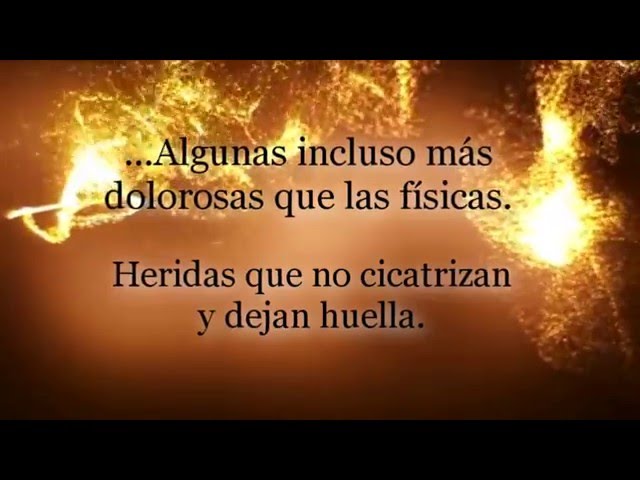 Vídeo relacionado con Mi error fue amar al príncipe: Serie Mi error 1 (Bestseller)
