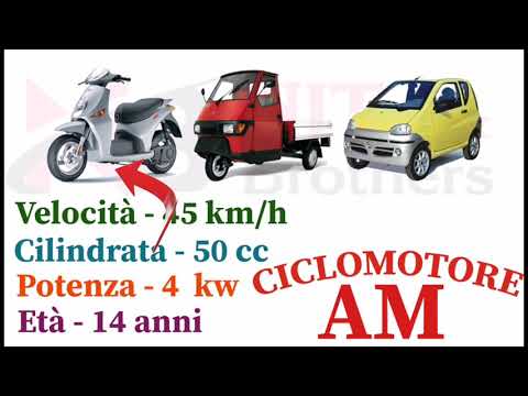 #nitaandbrothers #patente_in_punjabi Patente di Categoria AM