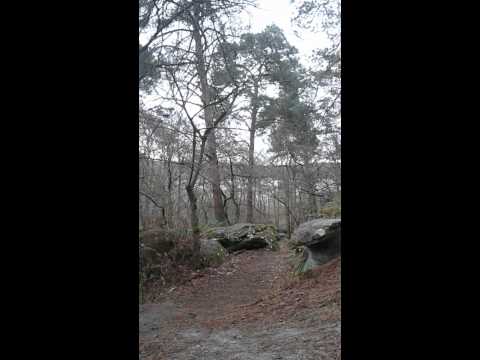 Séance du 28.01.2014 ( travail en côte )