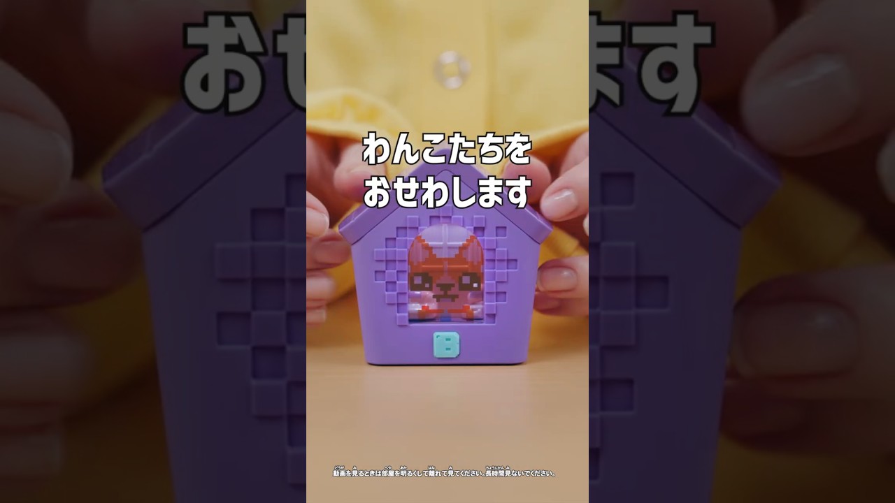 『わんだーはうす』でわんことあそぼう！