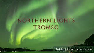 Chasing Northern Lights| Aurora | Tromso | Norway | Episode 13 | 4K | Norway