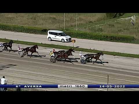 Aversa trotto 14 Maggio 2022 - 6° Corsa